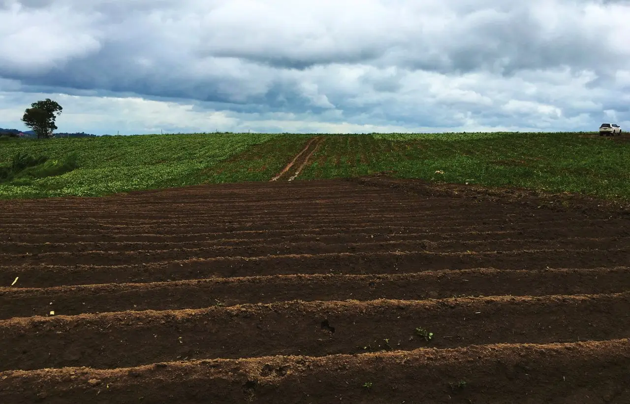 Il costo per dissodare un terreno: ecco come calcolarlo