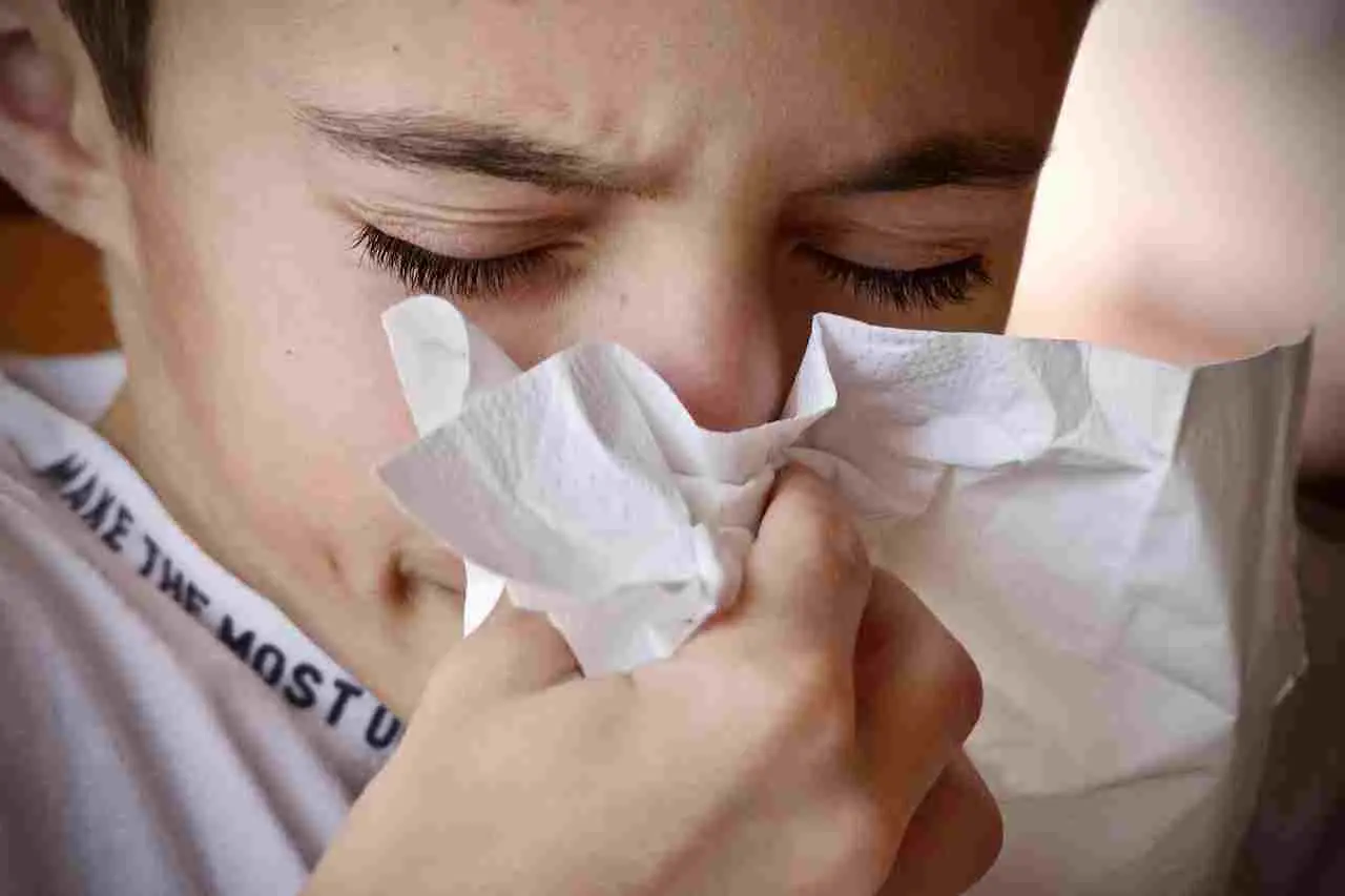 Addio allergie in casa: il rimedio estivo naturale contro gli acari che sopravvivono anche al materasso