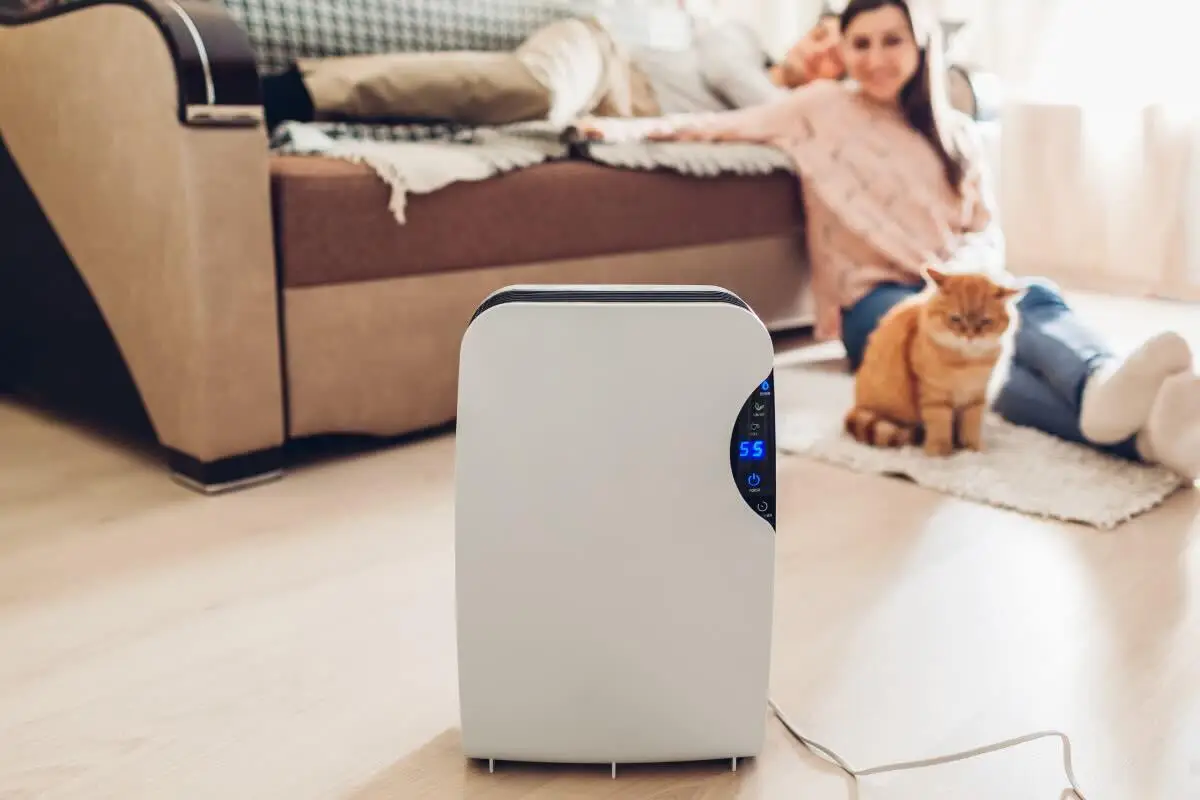 Aria secca in casa? Ecco il trucco naturale per umidificare gli ambienti senza dispositivo