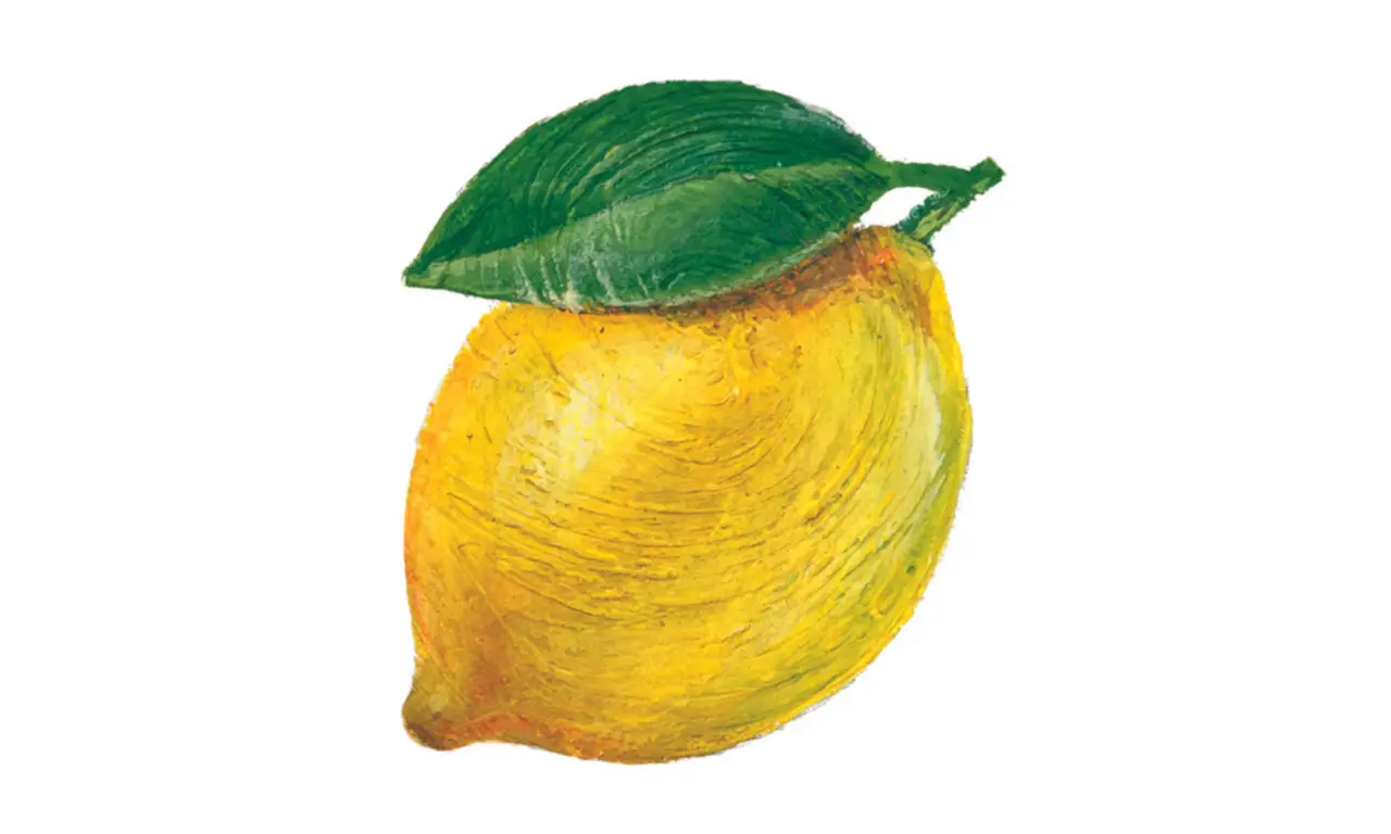 Il trucco geniale con il limone per profumare tutta la casa in modo naturale