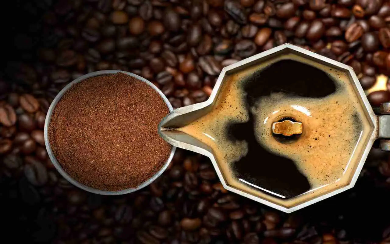 Il fondo del caffè allontana davvero gli insetti? Ecco la verità su questo rimedio