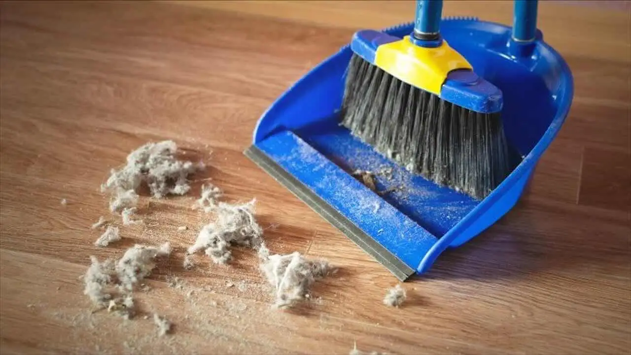 Smetti di spazzare: ecco il trucco definitivo per pulire il pavimento pieno di polvere in un attimo