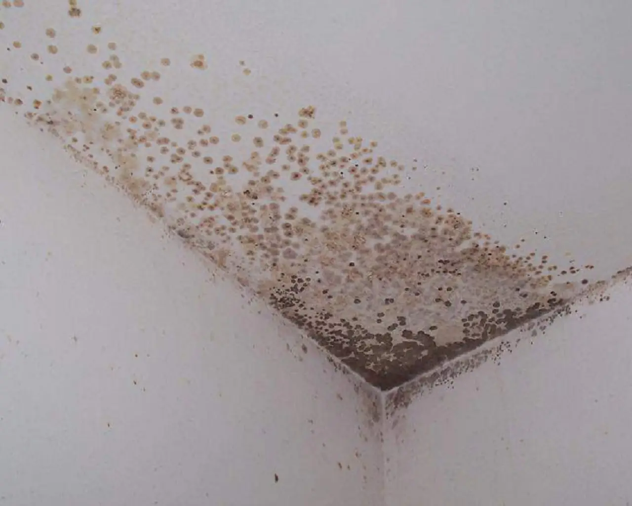 Arieggi la camera nel momento sbagliato: ecco perché non dormi bene e si forma muffa