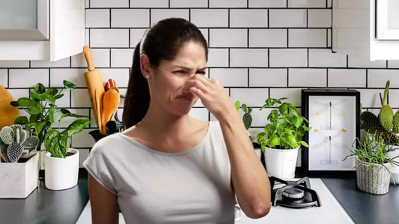 Ecco l’odore più forte e terribile del mondo: resisteresti un secondo senza svenire?