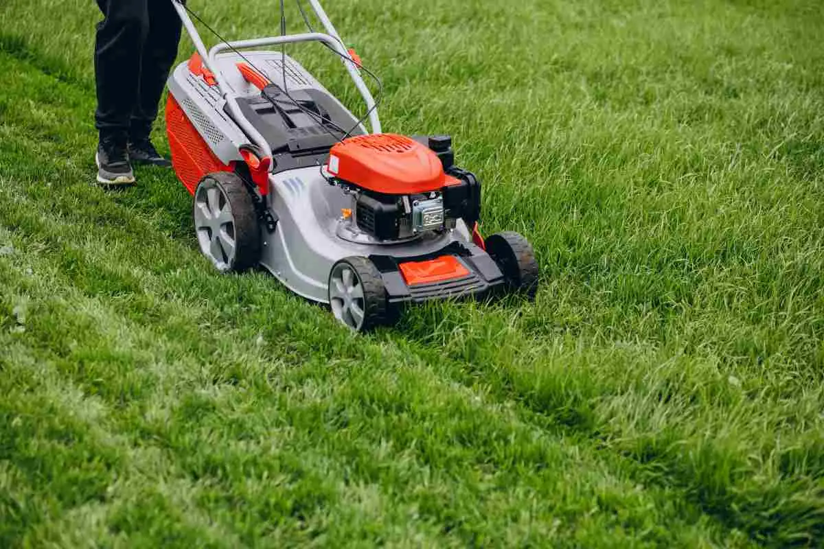 Non pulire il tuo giardino in questo periodo: ecco perché rischi di rovinare tutto