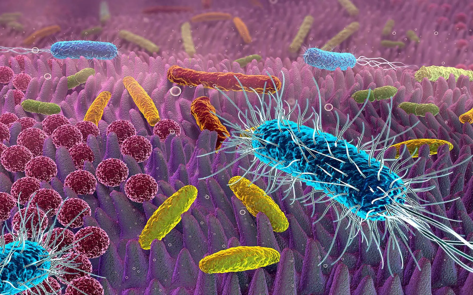 Il trucco per eliminare batteri e cattivi odori dagli asciugamani direttamente in lavatrice