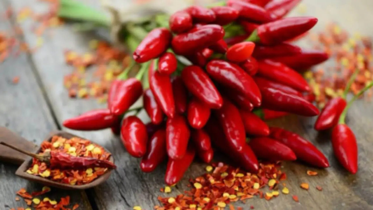 Aglio e peperoncino: ecco la ricetta per un antiparassitario naturale potentissimo fai da te