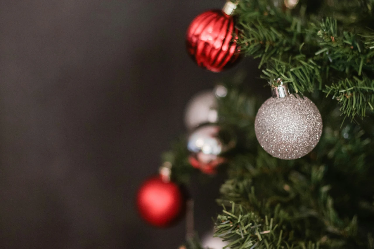 Non addobbare l’ingresso di casa per Natale senza aver visto queste idee semplici e spettacolari
