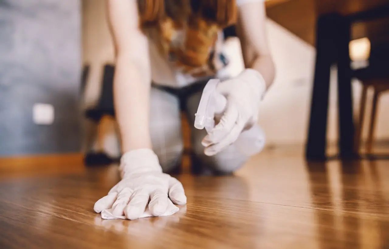 Come disinfettare casa con animali: il metodo sicuro per pulire senza rischi per loro