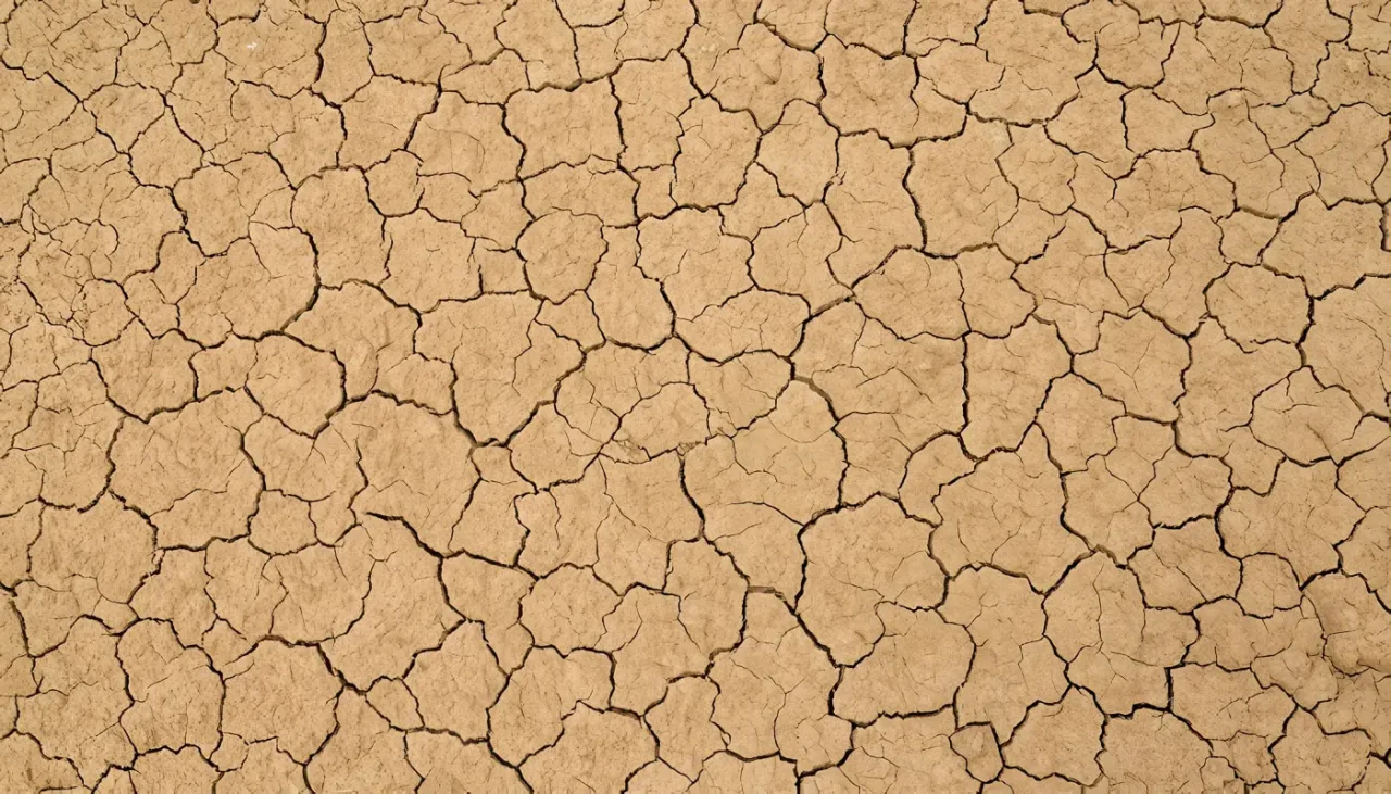 Che cos’è l’argilla polimerica? Ecco la risposta