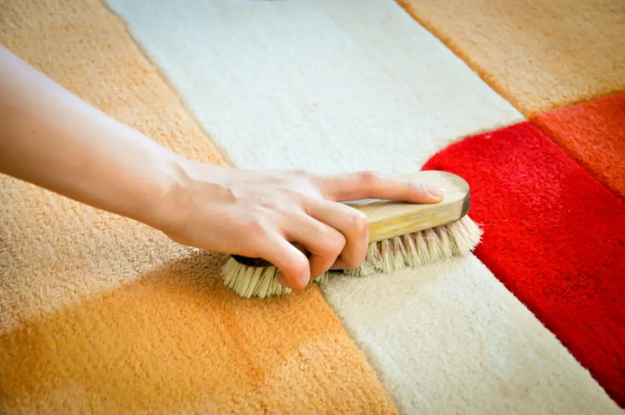 Qual è il modo corretto per pulire i tappeti a fondo? Smetti di batterli, ecco la soluzione